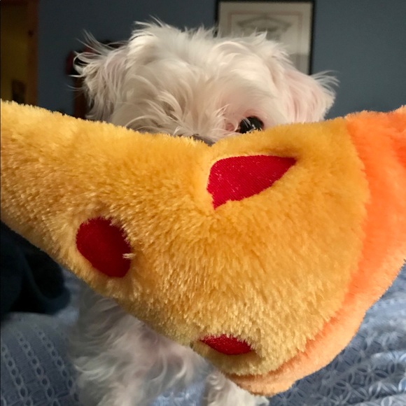 Meet your Posher, Lorilee - Picture 3 of 3